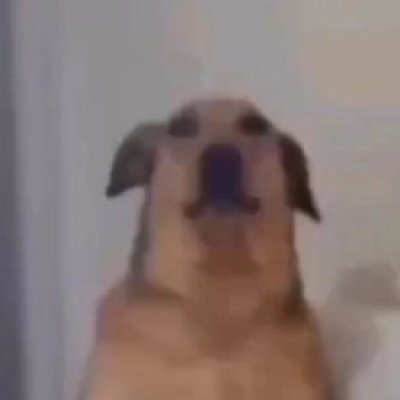 Profile picture of Ilarion