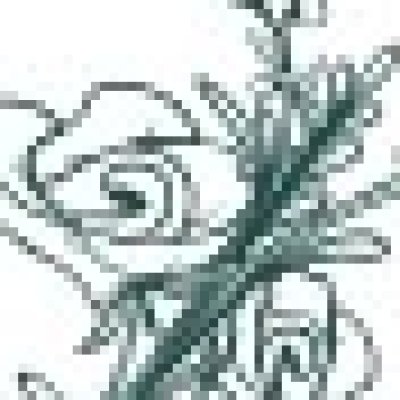 Profile picture of Sincere Flowers