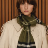 Profile photo of burberry scarf cheap